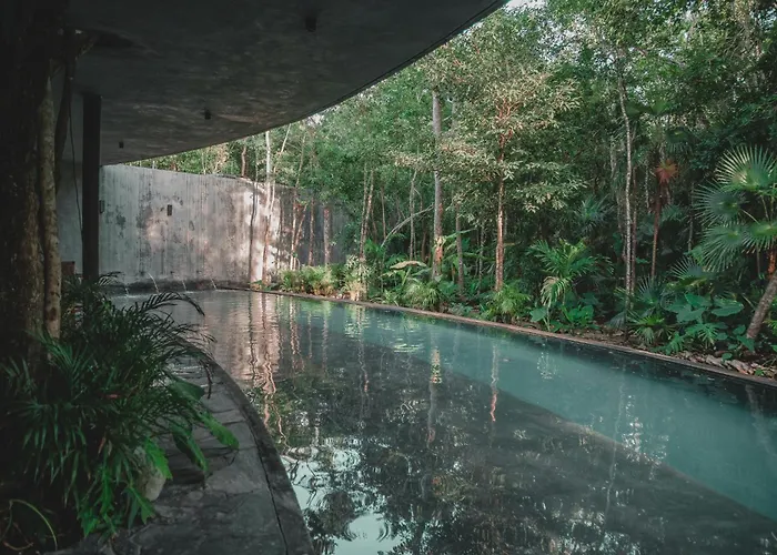 Apartment Kataleya Tulum: Luxury Jungle Penthouse With Private Pool Tulum